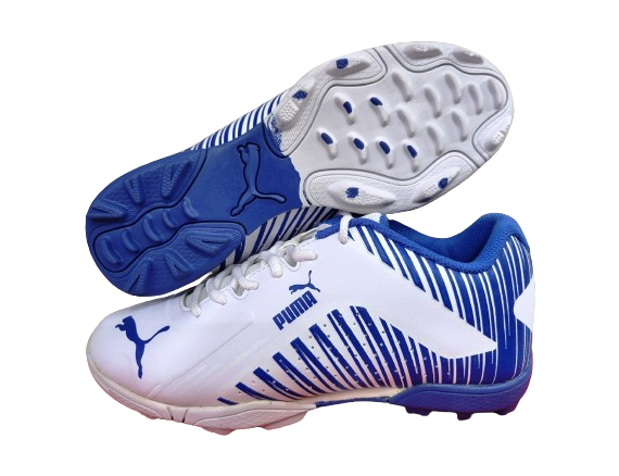 Puma Evospeed